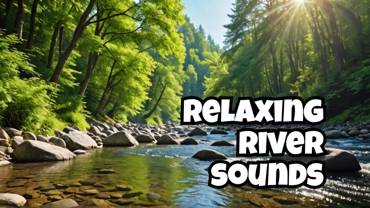 Forest River, Relaxing Nature Sounds l Sleep, Relax and Study Focus