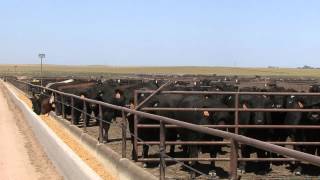 Yuma County Agriculture