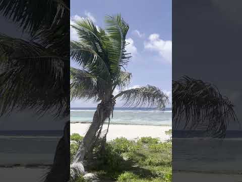 Tarague Beach in