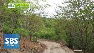 류가네로 가는 길 @생방송 투데이 140516