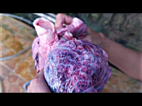 MASAK KUYANG -