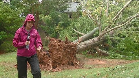Greensboro Ian damage: Down trees and power outages