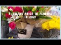 Цветы в США. #Цены. Flowers in USA Stores. Winn Dixie Flowers 💐 😍 💕 #shorts
