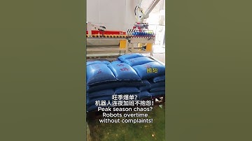 seasonal savior，robots never stop！#industrial #automation #palletizingrobot #industrialrobot