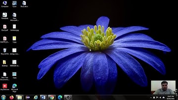 Raptor Reverse Looping structure