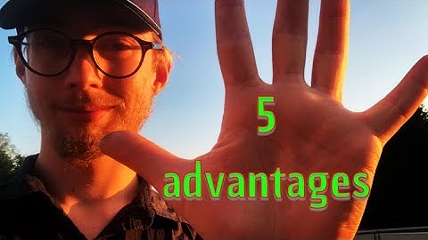 5 advantages of being a full time bug bounty hunter