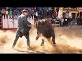 3 Toros - Peña Los Mil Duros - Castellnovo (Castellón) 2024 Toros Fran Gomez Bous Al Carrer FJGNtv