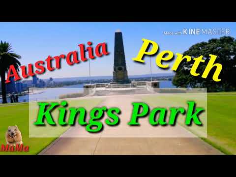 วีดีโอ: คำอธิบายและภาพถ่ายของ Kings Park - ออสเตรเลีย: เพิร์ธ