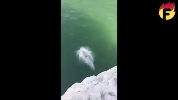 2021💧Cliff Diving Dangerous Fails Compilation