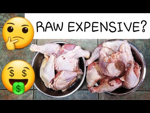 is-it-expensive-to-feed-your-dog-raw-food?-i-answer-that