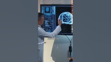 Your Memories Are Lying to You – Here’s Why