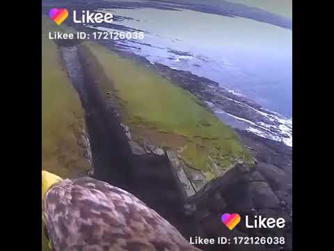 وينك حبيبي نشتوني عنك وبتسم