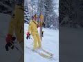 Лыжник со сноубордом