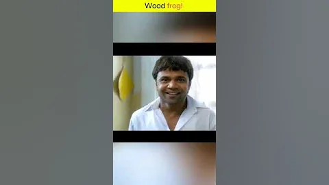 Wood Frogs Masters of Freeze Tolerance l #shorts #shortsfeed