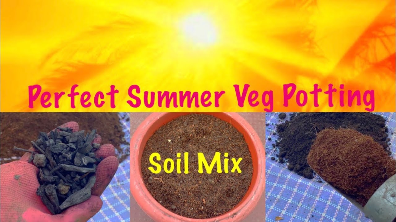 Perfect Summer Vegetable Potting Soil Mix formula // Summer Garden ...