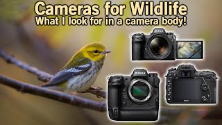 What to Look for When Choosing A Wildlife Body screenshot 5
