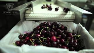 Fantastic cherries