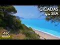 4K HDR Cicadas by the Sea - Ocean Waves &amp; Cicada Sounds - Greek Island Beach Ambiance - Relax/ Sleep