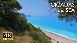 4K HDR Cicadas by the Sea - Ocean Waves & Cicada Sounds - Greek Island Beach Ambiance - Relax/ Sleep