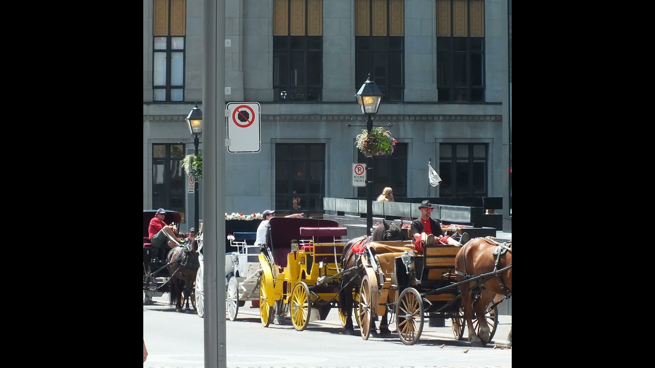 THE BIG FIVE: Will you be happy to see the caleches banned from the streets of Montreal?