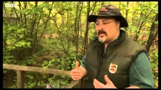 The Welsh Beaver Project