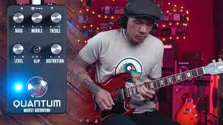 Aion FX Quantum mosfet distortion pedal | Mostortion pedal kit screenshot 5