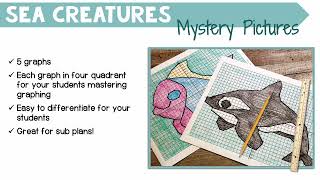 Information Sea Creatures Coordinated Graphing Mystery Pictures in Four Quadrant Update