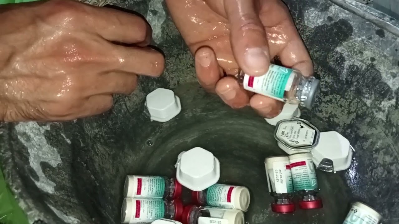 #طريقة تلقيح الدجاج الرومي ضد البرونشيت والنيوكاستل 🐥🐤🦠🦠💯