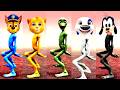 Dame Tu Cosita FULL HD | All Variation Dame Tu Cosita Music Video 2025