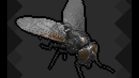 SRB2 2.2.8 green flower zone act 1 (fly) (0:12.94)