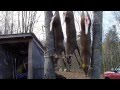 Adirondack Hunting 3 Bucks Down Adirondack Hunting 3 Bucks Down