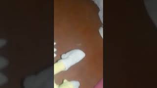 Weroas toasolgn 109643680
