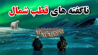 دانستنی های  قطب شمال که نمی‌دانستید