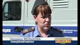Собака нашла украденную лошадь Собака нашла украденную лошадь