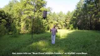 '2Minute Drill'  Game feeders and how to bear proof them