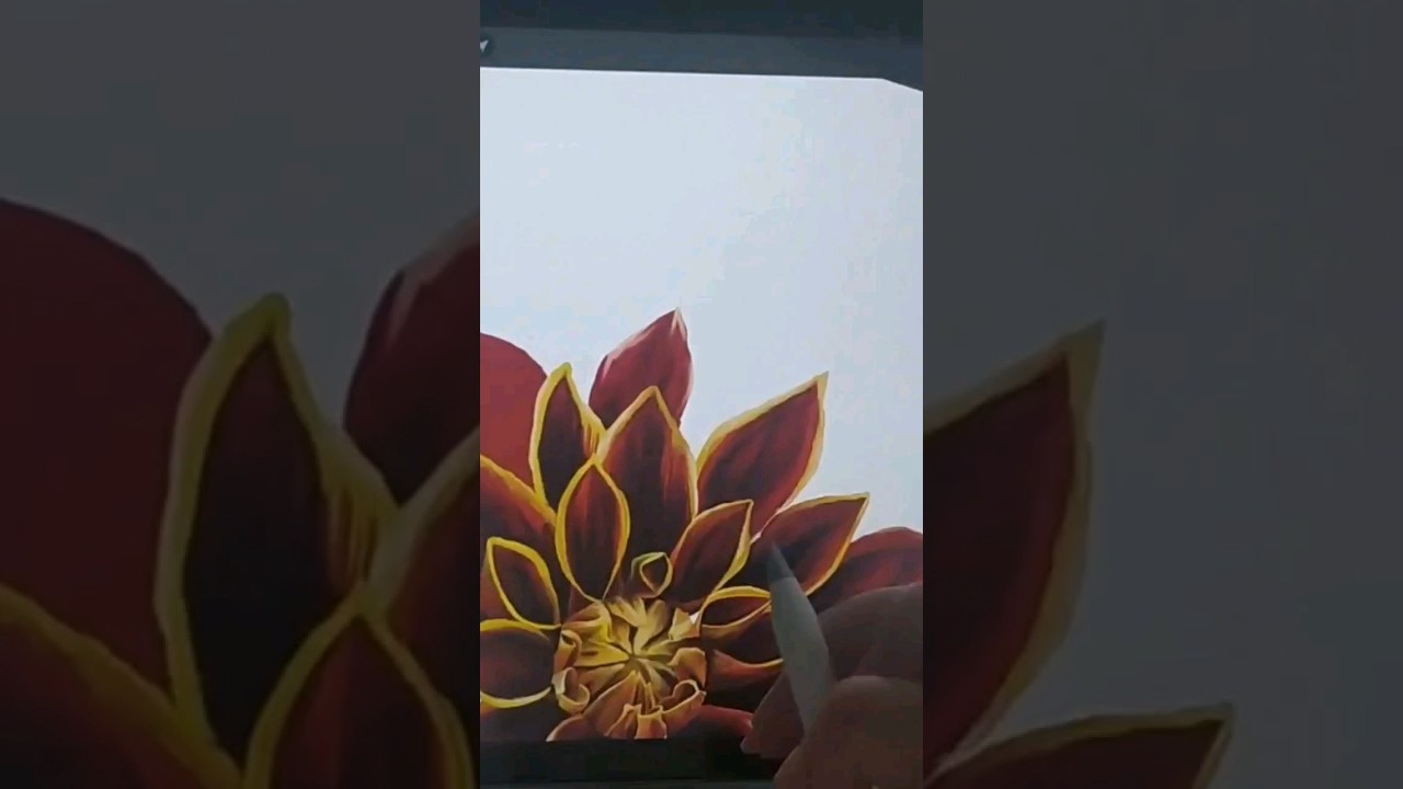 Dahlia digital #art #drawingtimelapse #procreate #digitalart #drawing #flower #nature #dahlia