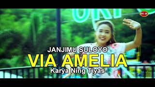 Via Amelia - Janjimu Suloyo | Dangdut (Official Music Video)
