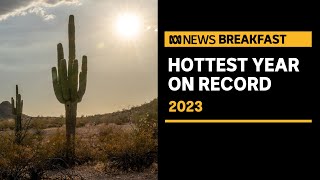 Scientists find 2023 was the hottest year on record | ABC News 2023 Is The Hottest Year Ever Recorded Scientists Say
