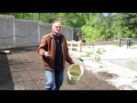 მოლის ბალახის დათესვა