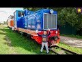 Поезда для детей Настоящая узкоколейная железная дорога с тепловозами Trains For Kids