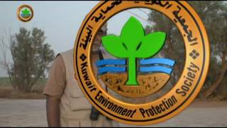 كل يوم طير - الحلقة السابعة (7)