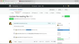 GitHub Issues Tips and Guidelines