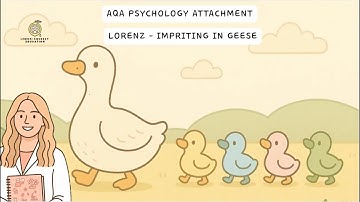 Lorenz’s Geese Study 🐥 | AQA Psychology Attachment Revision Made Easy!