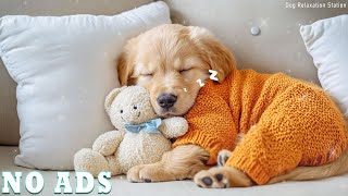 3 Hours Of Dog Calming Music 🎵 Relaxing Sleep Music for Dogs 💖 Stress-Free Sleep 🐶 No Ads