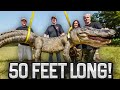 Biggest gator catches on swamp people