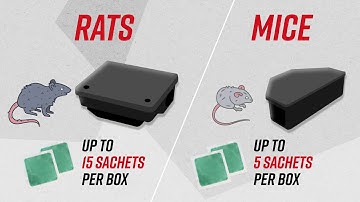 How to use Deadfast Mouse & Rat Killer Plus Sachets