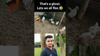 Ducks Vs. Invisible Ghost.