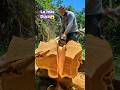 La madera más dura del mundo😱😱#chainsaw #asmrvideo #woodwork