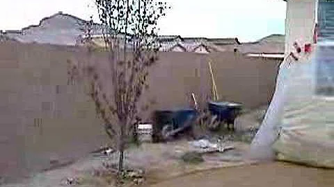 Backyard Construction