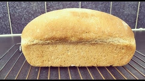 Simple Whole-Wheat Bread in 90 Minutes